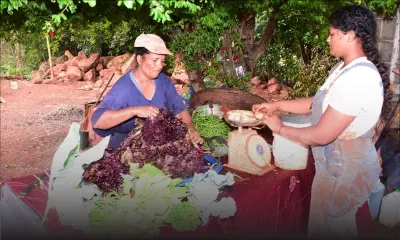 Consommation : ces légumes qui se font rares et qui coûtent plus cher