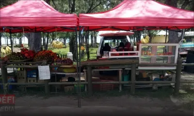 Journée du Tourisme : la parole aux petites entreprises 