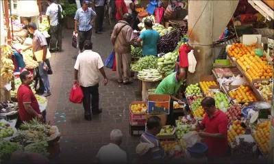 Réduction de la durée de leur contrat : les maraîchers de la capitale protestent