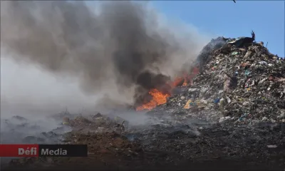 Incendie : le feu à Mare-Chicose maîtrisé à 90 % 