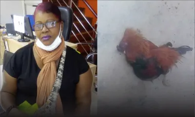 Affectée par le naufrage du Wakashio, Marie Arrianne lance un appel au secours