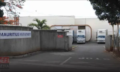 Malgré la levée de l’embargo : seule la Mauritius Meat Authority peut importer du bétail de Rodrigues