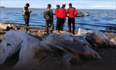 Fuite d'huile du Wakashio : attention à votre santé