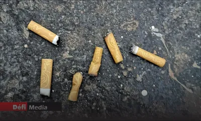 Chasse aux mégots de cigarette ouverte : début de campagne de ramassage sur sept plages ce dimanche