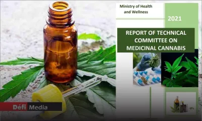 [Document] Cannabis médical : découvrez le rapport du comité technique