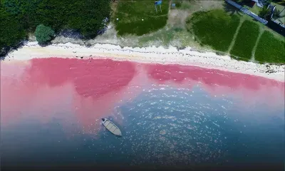 Blue-Bay : La mer rouge vue du ciel