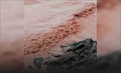 La mer rouge à Blue-Bay : quand la nature nous éblouit 