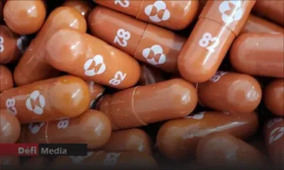 Un comité américain vote en faveur de la pilule anti-Covid de Merck