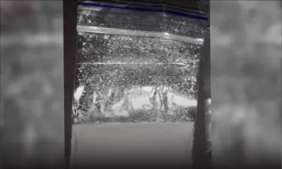  Saisie de Rs 1 M de méthamphétamine en provenance d’Angleterre : un «réseau de trafiquants» à Maurice ciblé 