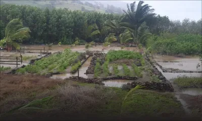 Météo : le centre de Calvinia pourrait s'approcher dangereusement de Maurice
