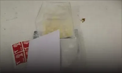 Poste centrale : un chien renifleur détecte la présence de 9,3 grammes de Crystal Meth dans un colis