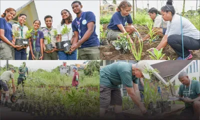 Élan écologique : création d’une mini-forêt à Piton
