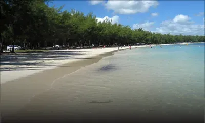 Lagon de Mont-Choisy : implantation de reef balls en cours