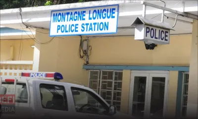 Montagne-Longue :  quatre suspects coffrés pour vol de gingembre