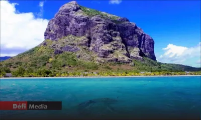 Dans un barachois au Morne : des centaines de poissons retrouvés morts 