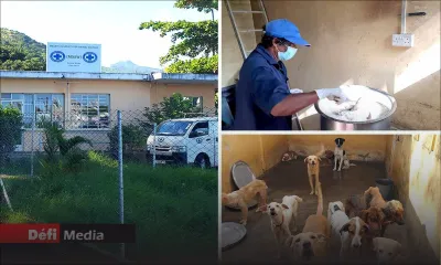 Surpopulation, malnutrition, décès excessifs : les dessous d’une triple suspension à la MSAW