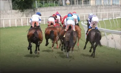 Saison hippique 2025 : Le MTC finalise les préparatifs pour la reprise des entraînements des chevaux