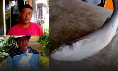 Intoxication alimentaire alléguée à Rodrigues : Une vingtaine de victimes affirment avoir consommé de la « vielle rouge » et du « mulet »