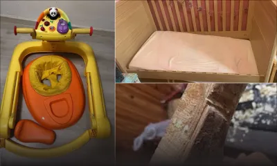 Au Shelter de Forest-Side –Une jeune mère subit les violences de quatre autres pensionnaires