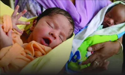 Évolution démographique : la baisse persistante des naissances