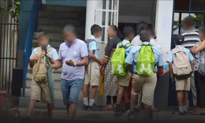 Lauréats additionnels de la cuvée 2017 : New Eton et  Belle-Rose SSS se distinguent