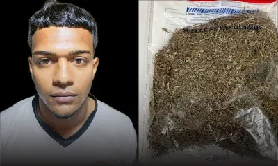Saisie de 13,4 kg de cannabis à La Gaulette : l’Adsu soupçonne «La Réunion Connection»