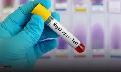 Inde : Kerala en alerte après une nouvelle épidémie du virus mortel Nipah : ce qu'il faut savoir
