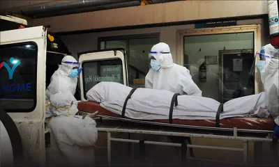 Inde: restrictions après deux morts du virus Nipah