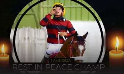 1 an déjà ! : Nooresh ou le champion qui galope parmi les anges