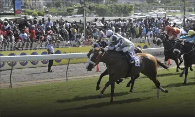  Hippisme : Nordic Warrior dompte les favoris