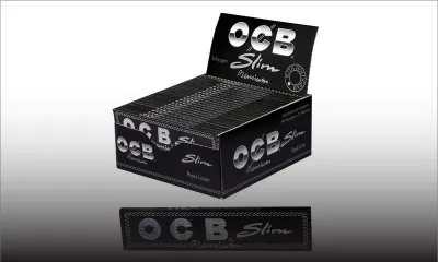 Rivière-du-Rempart : Rs 125 millions de «ti papier» saisies 