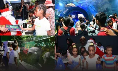 Noël : cadeaux et repas, RadioPlus fait plaisir aux enfants