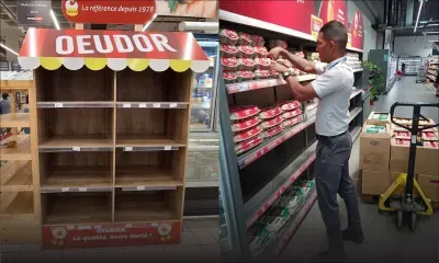 Situation inexplicable qui perdure : la crise de l’œuf suscite confusion et frustration 