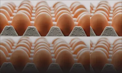 La razzia se poursuit : un individu sort d’un hypermarché avec six caddies de plateaux d’œufs