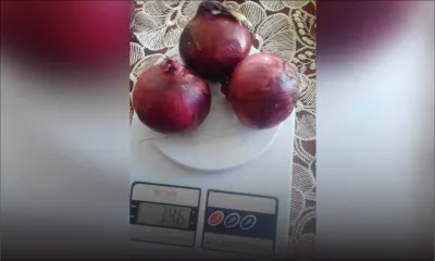 Roches-Brunes : un habitant porte plainte contre un marchand de légumes