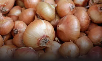 Un commerçant pris en flagrant délit : il vendait des oignons trois fois plus cher
