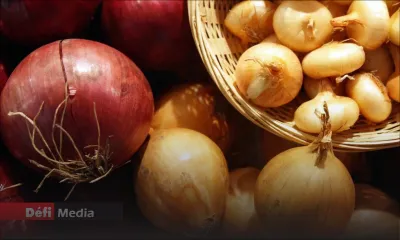 Vente d’oignons : énième mise en garde du ministère du Commerce à l’encontre des distributeurs et commerçants
