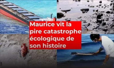 Maurice vit la pire catastrophe écologique de son histoire