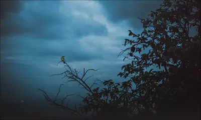 Météo : les prévisions pour ce jeudi