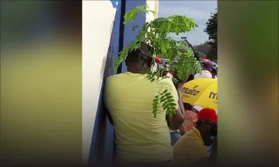 [Insolite] À Bambous, on se protège du soleil comme on peut !