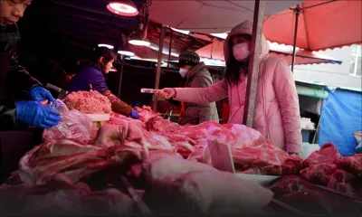 Du rat ou du croco ? L'étrange marché chinois au coeur du virus