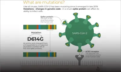 [Infographies] Covid-19 : ce que l'on sait du variant Omicron