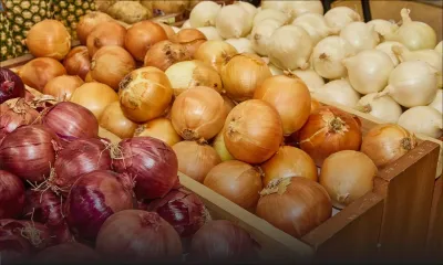 L’Inde envoie 1 200 tonnes d’oignons