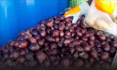 En vente à Rs 20, oignons et pommes de terre « unlimited » à Notre-Dame 