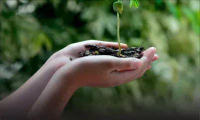 Changement climatique : introduction d’un Environmentally Sensitive Areas Act