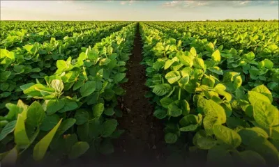 Discours-programme - Agriculture : assurer la sécurité alimentaire