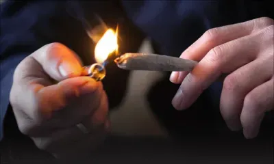 551 grammes de cannabis et 169 grammes de drogue synthétique saisis