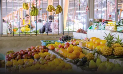 Organic crop production: Array of incentives launched