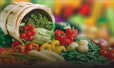 BIO FARMING: Growing demand bring bumper crop for planters