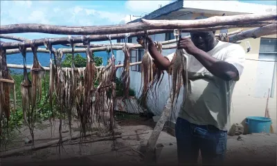 Rencontre : Joseph Ersley Cheverly fait des «ourites secs» son gagne-pain